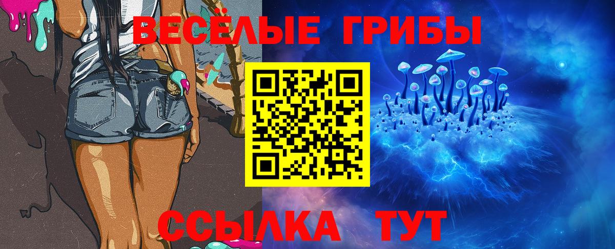 Псилоцибиновые грибы Cubensis Юрга