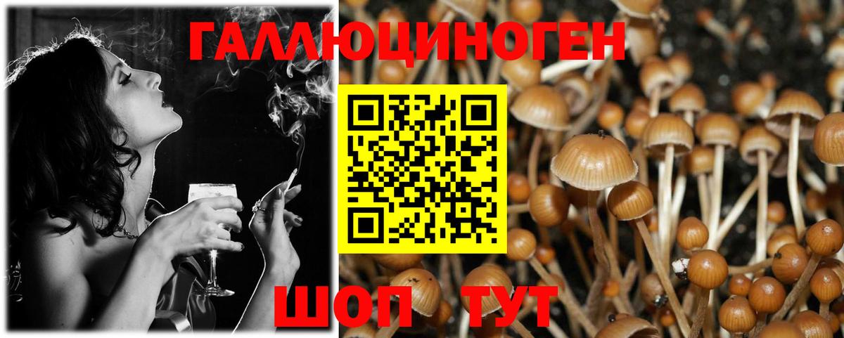 Псилоцибиновые грибы GOLDEN TEACHER  Псилоцибиновые грибы ЛСД  Вход с VPN  Юрга 